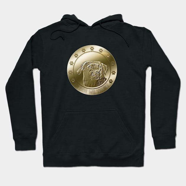 Greater Swiss Mountain Dog Coin Funny Crypto Hoodie by JollyMarten